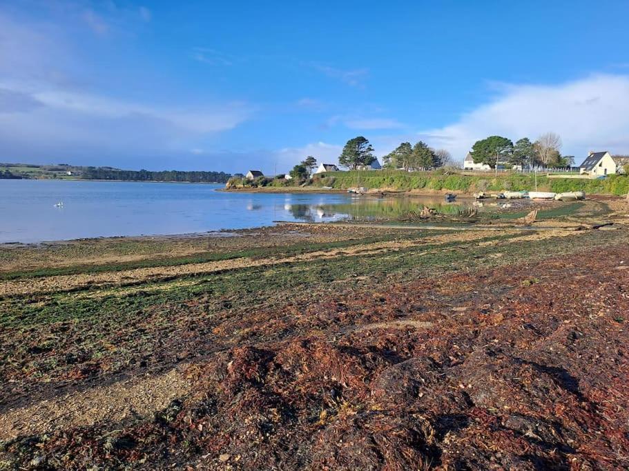 Gouled Ker I Gite Paisible A Proximite Des Plages Crozon Exteriör bild